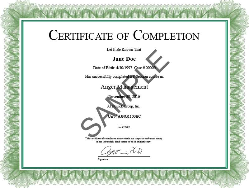 Certificate of completion from AJ Novick Group